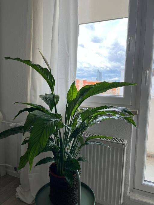 Gemuetlichkeit Mit Cityblick 莱比锡 外观 照片